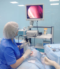 Лазерна ЛОР операція з видалення папіломи глотки, поліпа гортані, фіброми гортані в Києві
