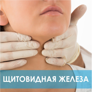 Полное медицинское обследование щитовидной железы в Киеве, Клиника эндокринологии Медиленд